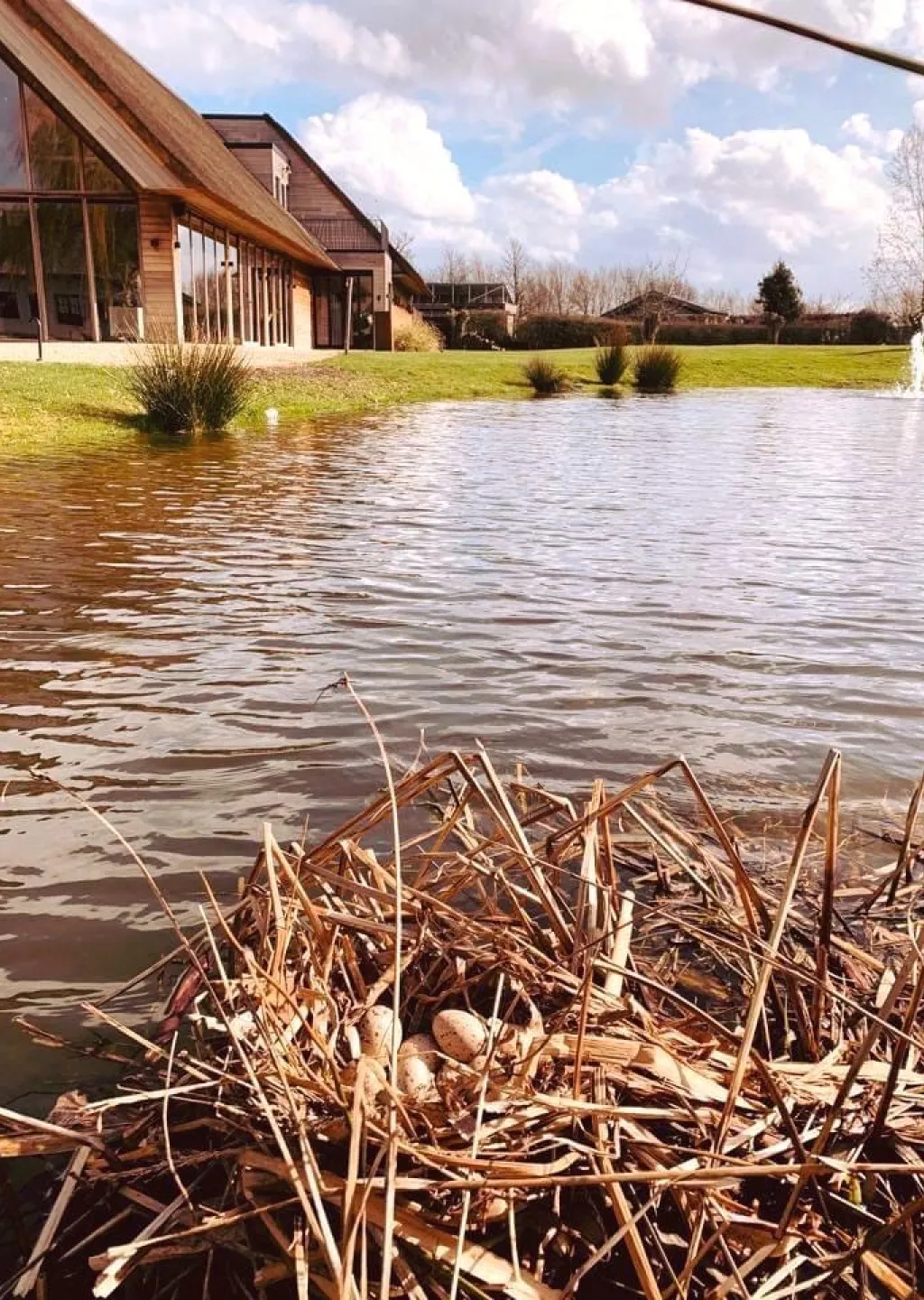 Realisatie tuinaanleg Leonie Leon events door Tuinaanleg Stijn Lycke