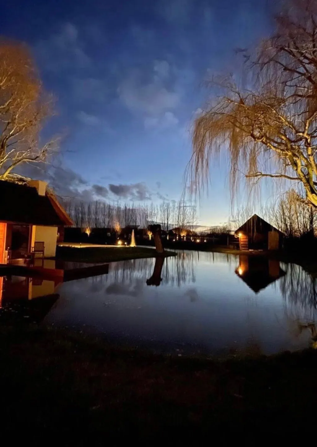 Realisatie tuinaanleg Leonie Leon events door Tuinaanleg Stijn Lycke