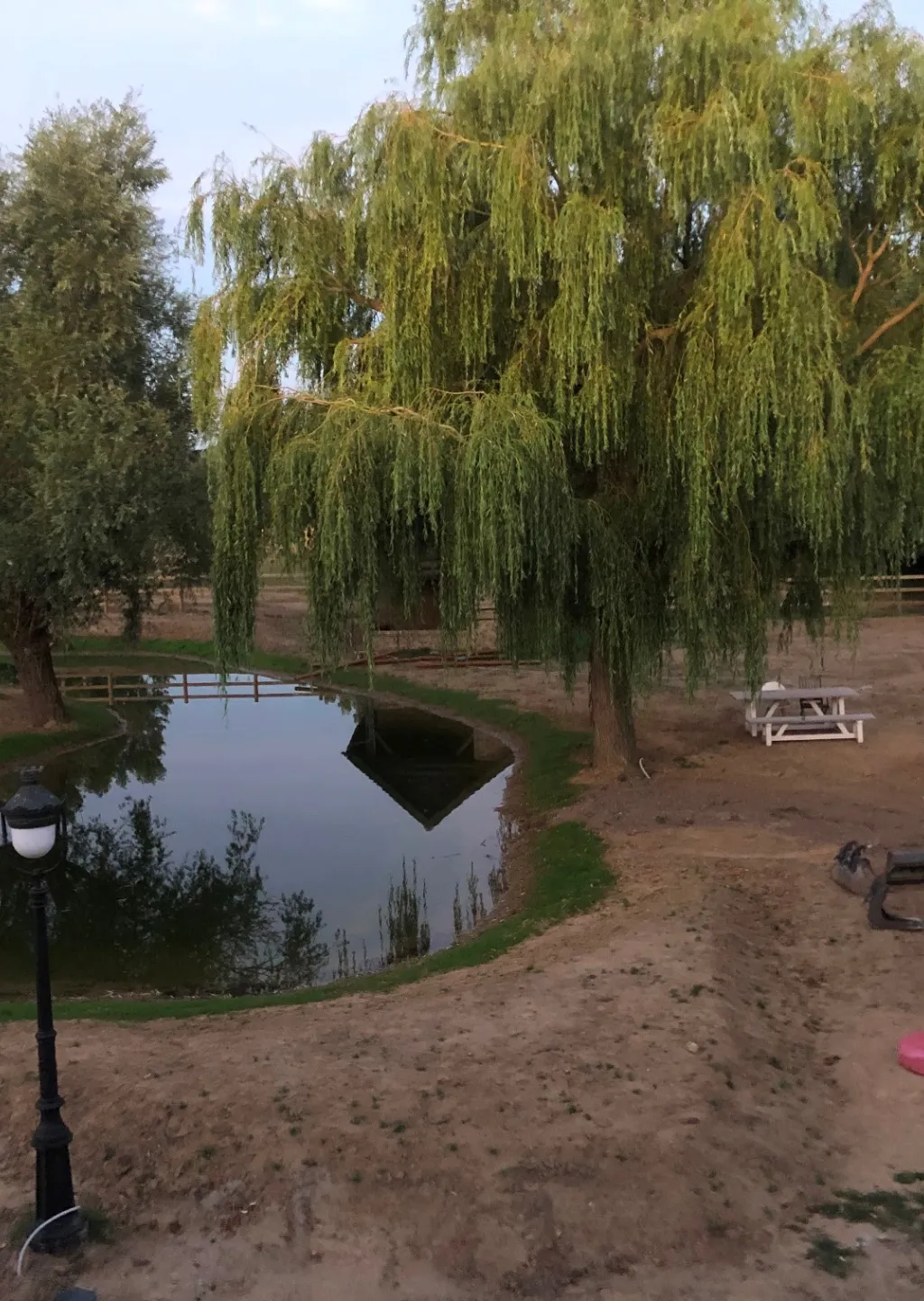 Realisatie tuinaanleg Leonie Leon events door Tuinaanleg Stijn Lycke