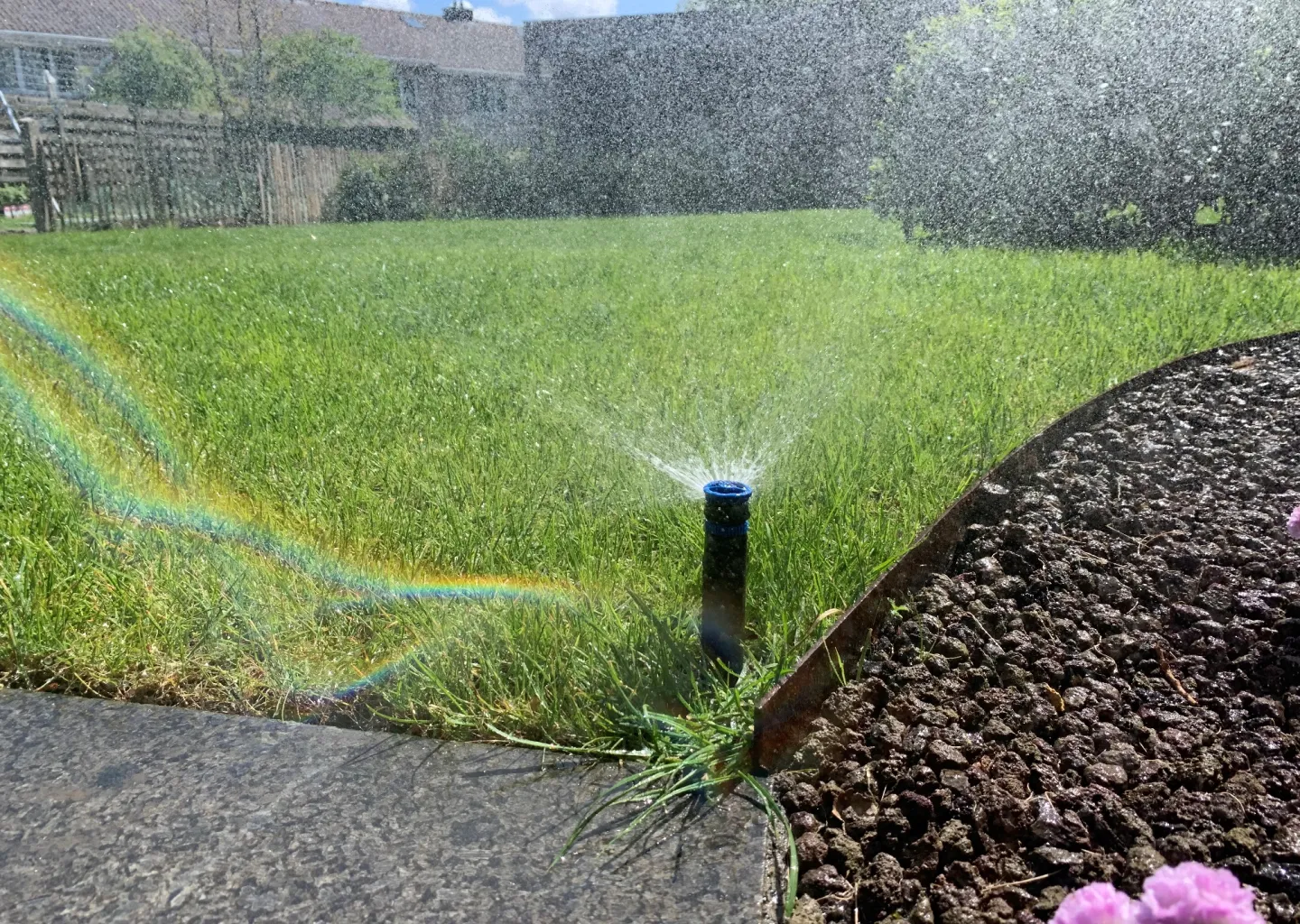 Totale tuinaanleg met kleine waterpartij Veurne door stijn lycke